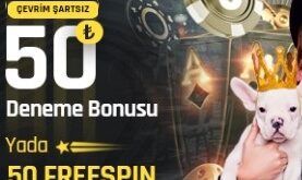 betturkey 105