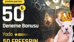 betturkey 114 yeni giriş