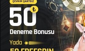 betturkey 133 giriş
